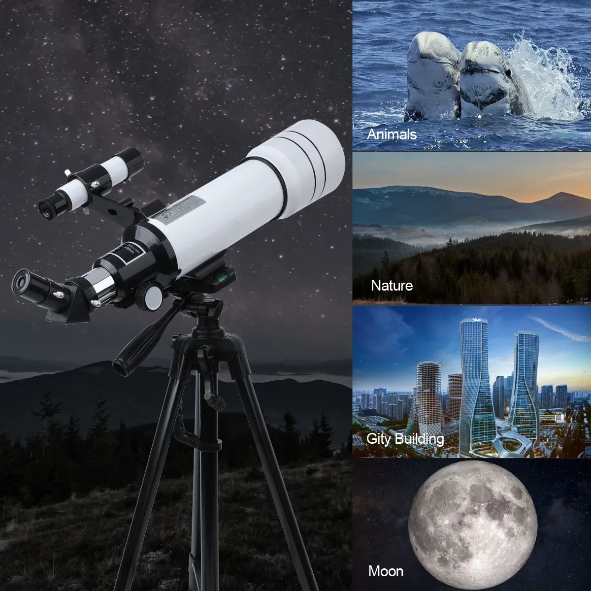 TW01-80 Astronomical Refractor Telescope detail photo 4
