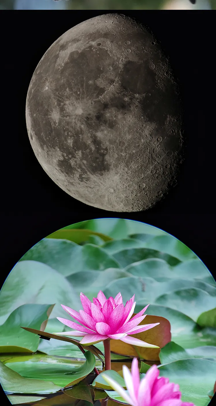 Zoom Eyepiece 8-20mm Planar APO detail photo 5